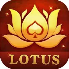Hi Rummy Yono Apk